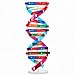 VICASKY DNA Kit Self Double Helix Structure Model 33 x 116cm DIY Generic Molecular Model Kit LargeScale Biological Structure Human Genes Components Science Educational Teaching Tool - Image 2