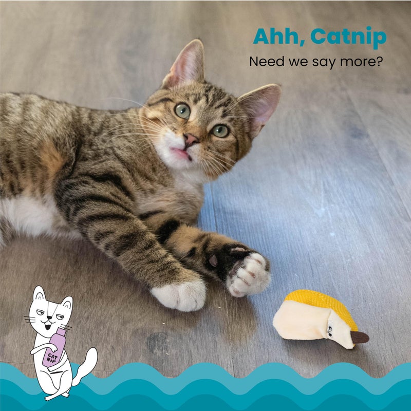 Catstages Petstages Dental Banana Catnip Cat Chew Toy - Image 3