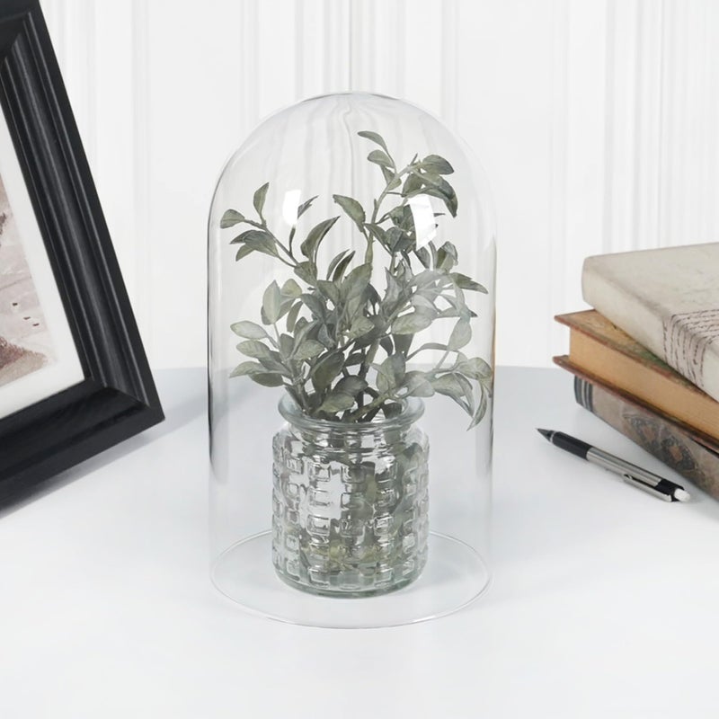 Plymor قبة عرض زجاجية بلا قاعدة من بلايمور 5.5" × 10" - Image 2