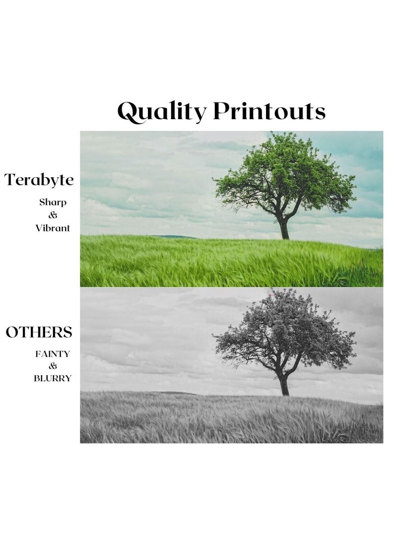 Terabyte TN117/116 KONICA COMPATIBLE TONER TERABYTE - Image 2