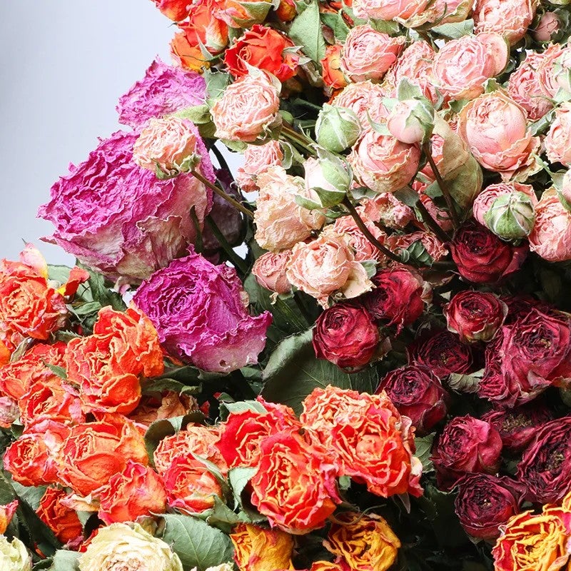 Bluejw Natural Dried Rose Buds with Stem - Wedding Bouquet, Real Dried Rose Flower Bouquets, Decorative Dried Plants - Image 5