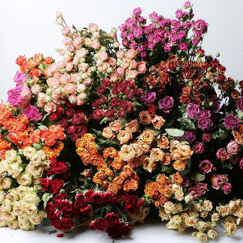 Bluejw Natural Dried Rose Buds with Stem - Wedding Bouquet, Real Dried Rose Flower Bouquets, Decorative Dried Plants - Image 3