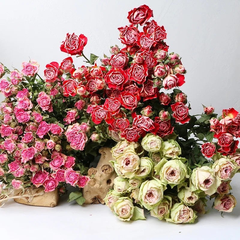 Bluejw Natural Dried Rose Buds with Stem - Wedding Bouquet, Real Dried Rose Flower Bouquets, Decorative Dried Plants - Image 2