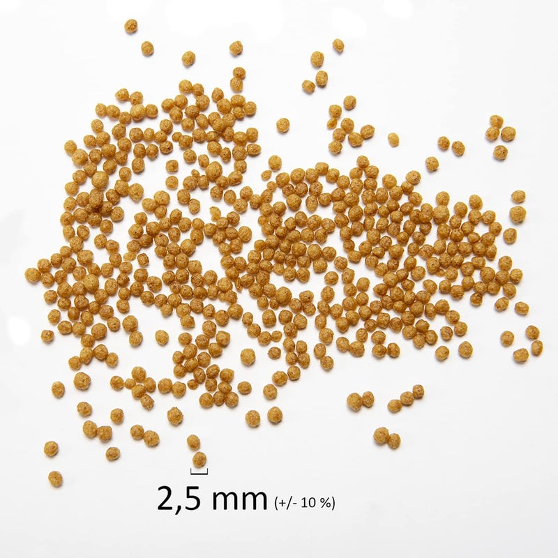 سيتاكوس بسيطاكوس بيينسو مينور 0.450 جرام - Image 2