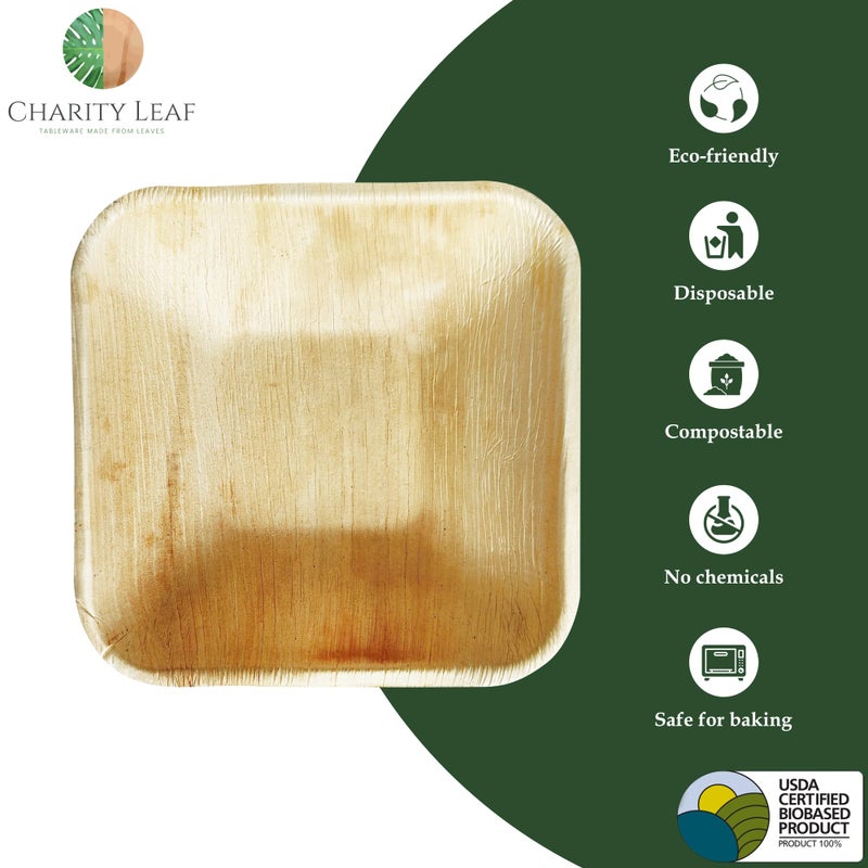 Charity Leaf Disposable Palm Leaf 5"" Square Bowl (50 pcs) Dipping Bowls | Bamboo Like| All Natural and Biodegradable | Charcuterie Boards  BBQs  and Parties - Image 2