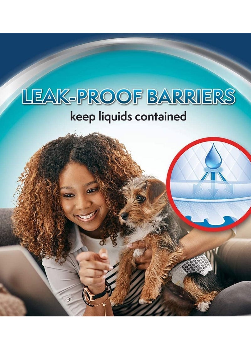 Simple Solution لفافات الكلاب الذكورية ذات الاستخدام الواحد XS، 12 قطعة - Image 4