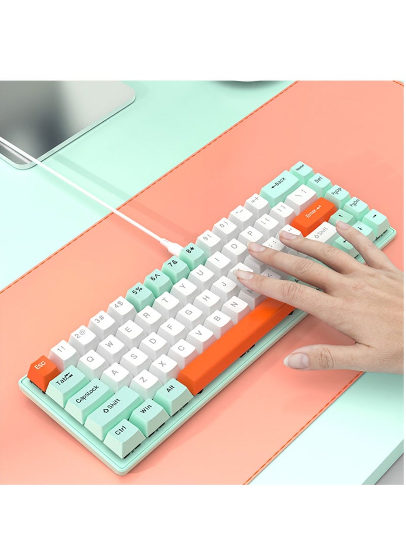 لوحة مفاتيح ألعاب RGB سلكية 65%، 68 مفتاحًا بمفتاح أزرق، لوحة مفاتيح ميكانيكية مضغوطة قابلة للتبديل السريع للكمبيوتر الشخصي/الكمبيوتر - أخضر/أبيض