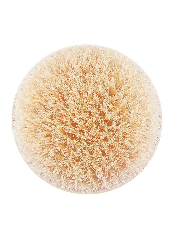 Ecotools - Dry Body Brush - Image 1