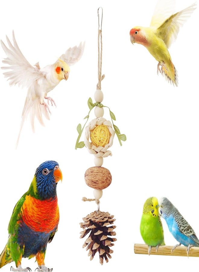 Allazone 5 PCS Natural Bird Chewing Toys & Perches for Small Lovebirds, Budgies, Cockatiels - Wooden, Rattan, Vine, Beige - Image 4