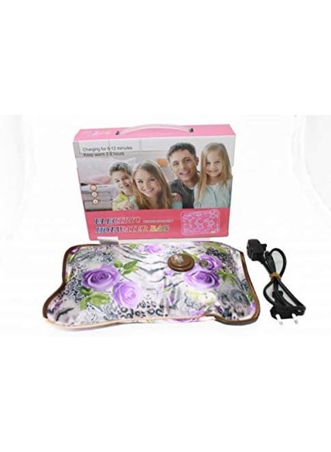 Electric Hot-Water Bag/Health And Safety - Image 2