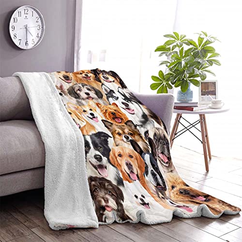 Juirnost Dog Print Plush Throw - Super Soft, 50" x 60" - Funny Cute Dogs on Blanket - Dog Themed Gifts for Women & Girls - Image 5
