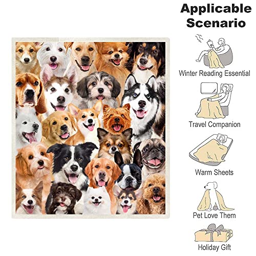 Juirnost Dog Print Plush Throw - Super Soft, 50" x 60" - Funny Cute Dogs on Blanket - Dog Themed Gifts for Women & Girls - Image 3
