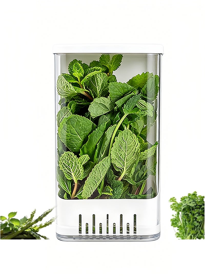 ايكانبو حافظة أعشاب للثلاجة، حافظة أعشاب ممتازة، تحافظ على نضارة الكزبرة، وتطيل مدة صلاحية مختلف الأعشاب، وتحافظ على نضارتها لمدة تصل إلى أسبوعين إلى ثلاثة أسابيع. - Image 1