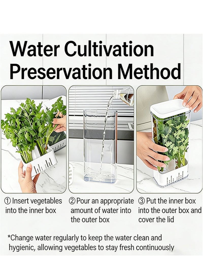 ايكانبو حافظة أعشاب للثلاجة، حافظة أعشاب ممتازة، تحافظ على نضارة الكزبرة، وتطيل مدة صلاحية مختلف الأعشاب، وتحافظ على نضارتها لمدة تصل إلى أسبوعين إلى ثلاثة أسابيع. - Image 3