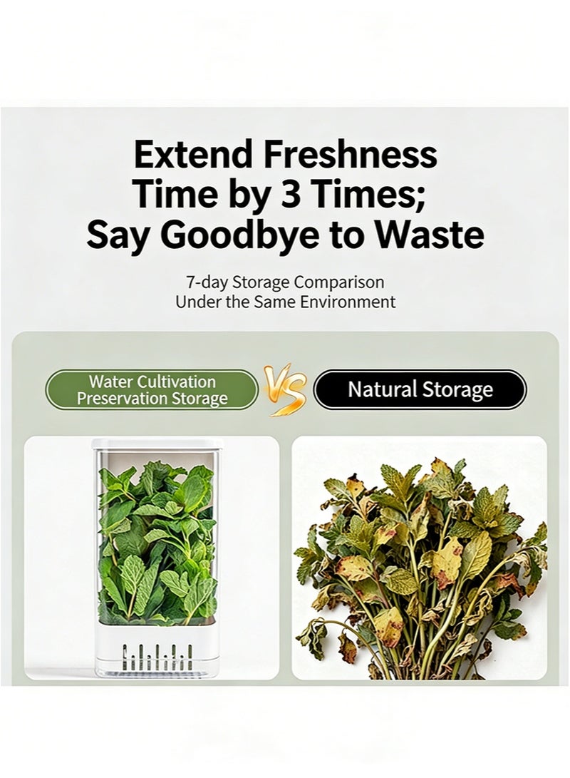 ايكانبو حافظة أعشاب للثلاجة، حافظة أعشاب ممتازة، تحافظ على نضارة الكزبرة، وتطيل مدة صلاحية مختلف الأعشاب، وتحافظ على نضارتها لمدة تصل إلى أسبوعين إلى ثلاثة أسابيع. - Image 4