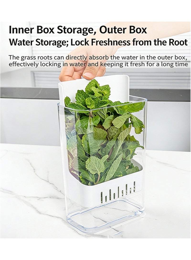 ايكانبو حافظة أعشاب للثلاجة، حافظة أعشاب ممتازة، تحافظ على نضارة الكزبرة، وتطيل مدة صلاحية مختلف الأعشاب، وتحافظ على نضارتها لمدة تصل إلى أسبوعين إلى ثلاثة أسابيع. - Image 2