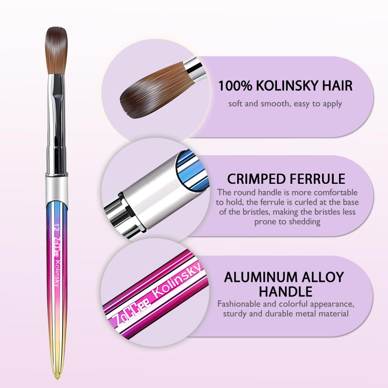 ZoCCee Acrylic Nail Brush - 100% Kolinsky Sable Hair Brush for Acrylic Application - Professional Salon-Grade Tools with Box for Nail Art, Extensions & 3D Carving (Gradient, #8) - Image 3