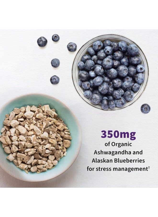 Garden of Life - Garden of Life Dr. Formulated Probiotics Mood+ Acidophilus Probiotic Supplement - Promotes Relaxation and Digestive Balance - Ashwagandha for Stress Management - 60 Vegeterian Capsules - Image 1