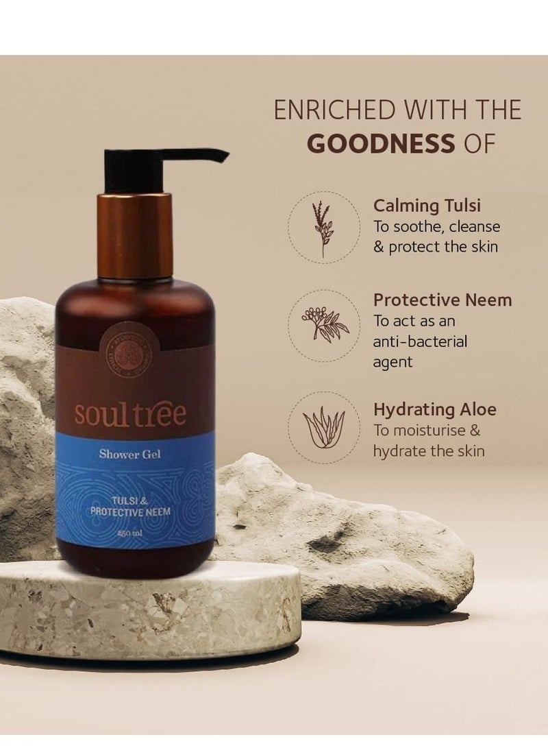 سول تري جل استحمام النيم الواقي من سول تري تولسي، 250 مل - Image 2