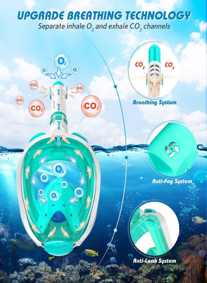 MUGATH Full Face Snorkel Mask Newest Breathing Foldable 180° View Anti-Fog & Leak-Proof for Adults & Kids Foldable 180° Panoramic View Natural Breathing System Adults & Children (Green L/XL) - Image 5