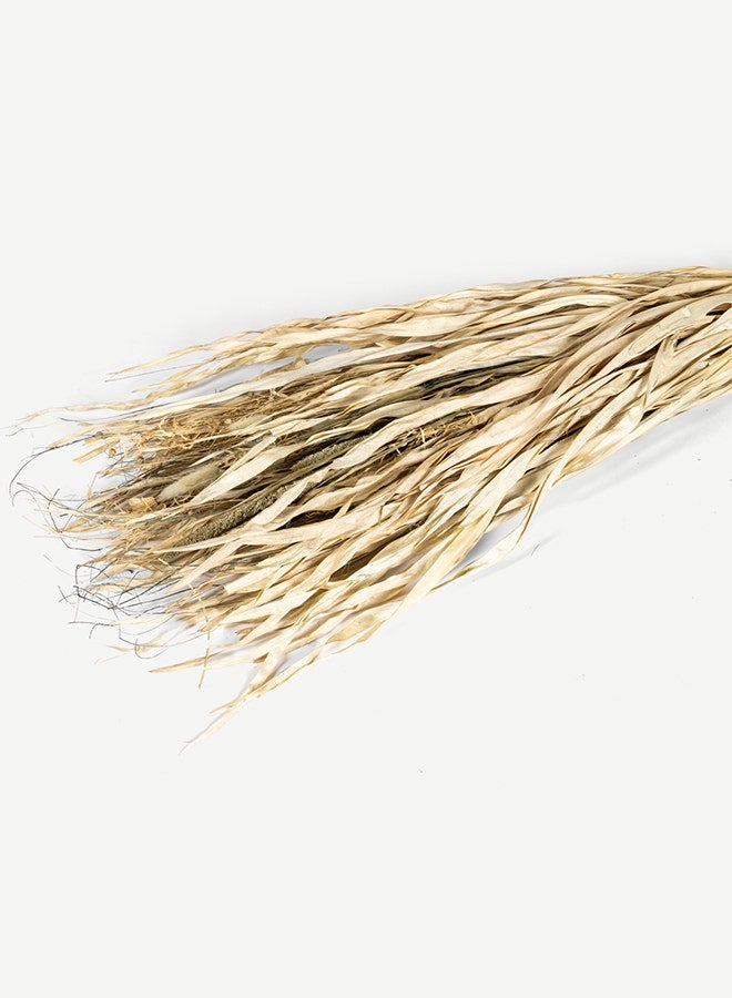 OC HOME Tolani Dried Plant Arrangement -Multi - Image 2