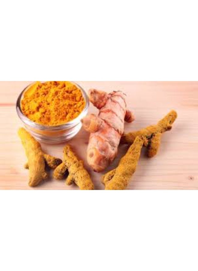 Savorya Premium Savory Turmeric Powder 200g – 100% Natural Ground Turmeric Spice – Pure Indian Turmeric for Cooking, Health & Immunity Boost – High Curcumin Content – Fresh Aromatic Haldi Powder - Image 3