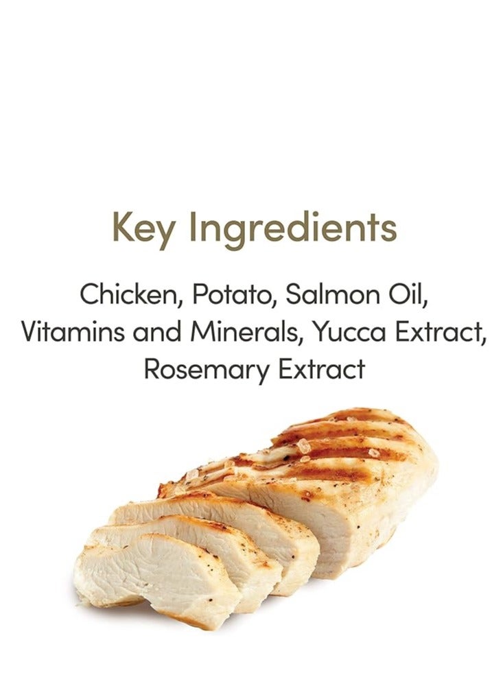 Kit Cat Cat Wet Food Deboned Chicken Classic Flavor 80g Pack Of 6 - Image 2