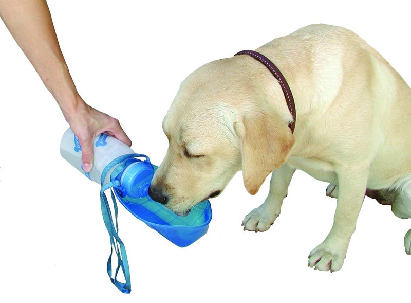 Lixit Thirsty Dog Portable Water Bottle / Bowl 20 oz - Image 3