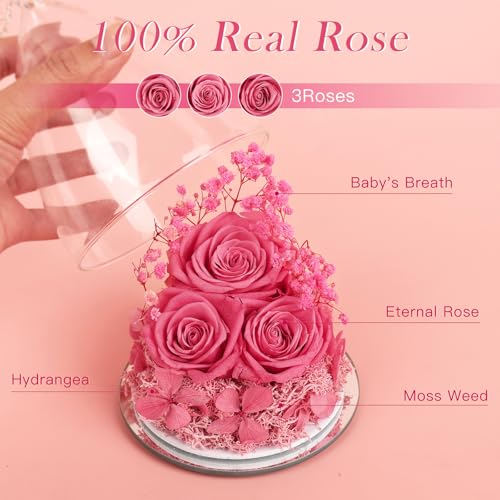 FIACO Mothers Day Flowers Gifts for Mom Flowers for Delivery Preserved Flowers Forever Real Fresh Roses in Glass Angel Figurines Birthday Gifts for Women Anniversary Present for Grandma Wife from Daughter - Image 2
