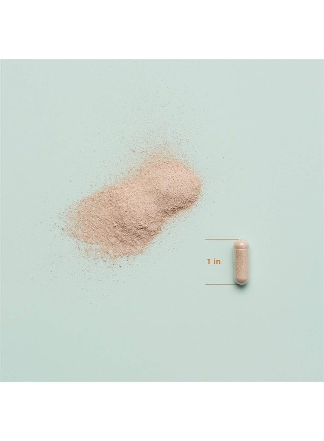 Life Seasons Bone Densi-T - Osteo Support Formula, Easy to Absorb, Supports Bone Density and Strength - Contains Vitamin D, Vitamin A and Calcium - 120 Capsules - Image 3