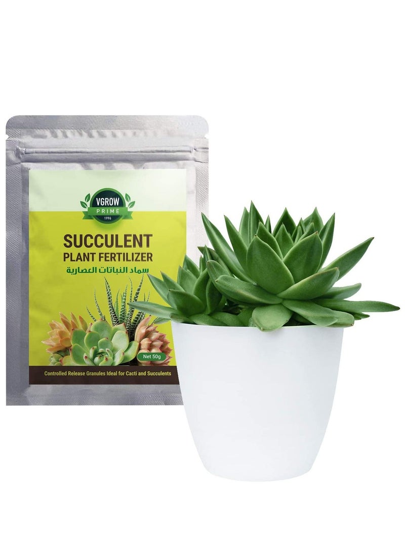 VGROW PRIME Premium Cactus & Succulent fertilizer — stimulates robust root growth, stem development & color vibrancy for all Cacti, Aloe Vera, Jade & other succulents. - Image 3