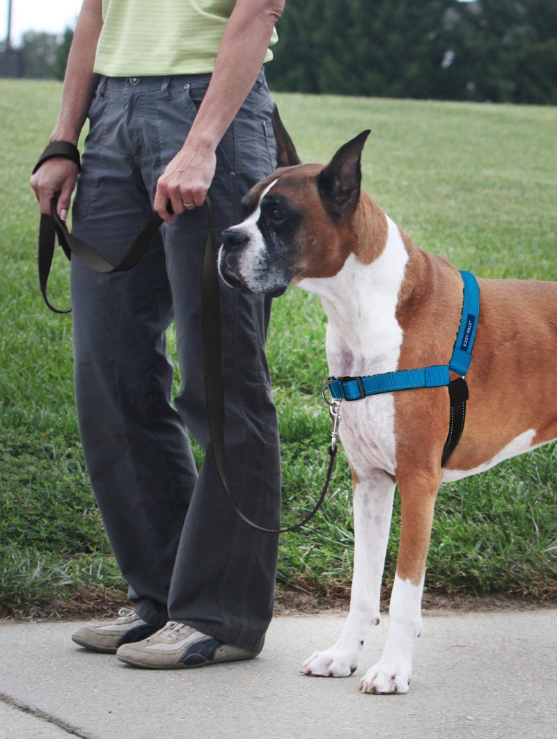 PetSafe Deluxe Easy Walk Harness - Trainer-Trusted Dog Chest Harness with Breathable Martingale Loop Design - Helps Stop Pulling with No Choking & Gagging - Large - Ocean - Image 2