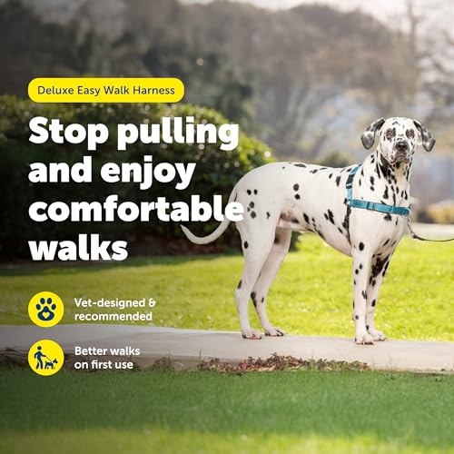 PetSafe Deluxe Easy Walk Harness - Trainer-Trusted Dog Chest Harness with Breathable Martingale Loop Design - Helps Stop Pulling with No Choking & Gagging - Large - Ocean - Image 4