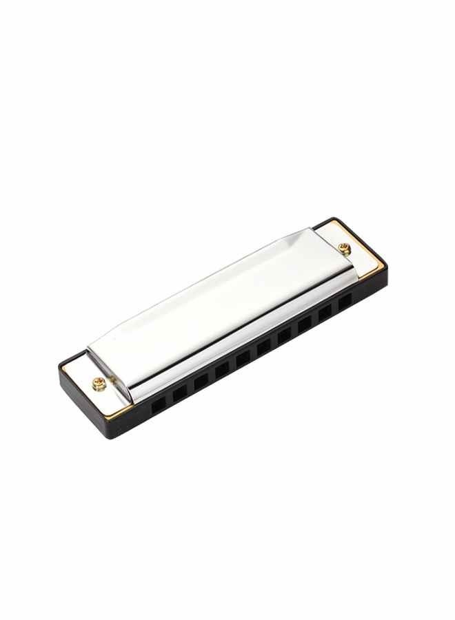 Generic 10-Hole Stainless Steel Chromatics Harmonica Mouth Organ  - Image 2