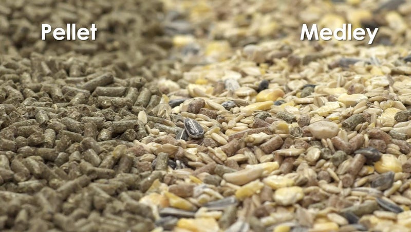 Kaytee Supreme Pet Mouse and Rat Food, 4 lb - Image 5