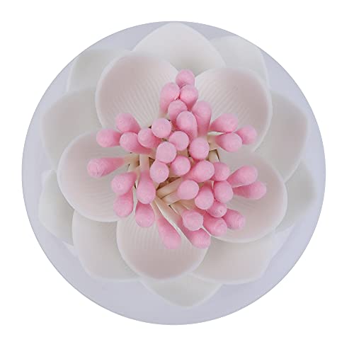 Bloss 2 Pack Qtip Holder Dispenser with Lid Lotus Cotton Swab Holder Cotton Swabs Bud Small QTips Box Toothpicks Holder Flower Bathroom Decor (Black + White)… - Image 4
