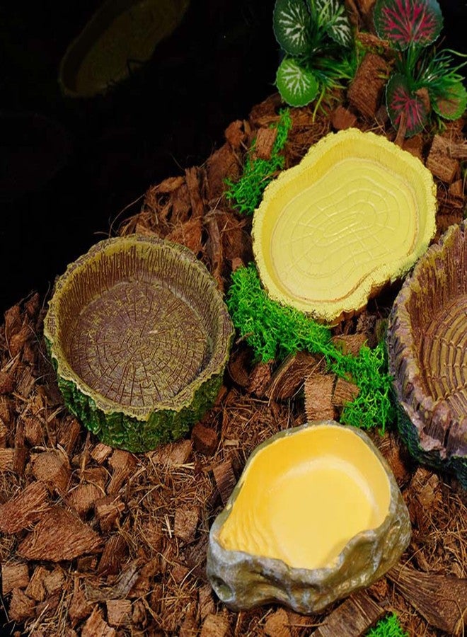 disclean 2 Pack Realistic Resin Reptile Food and Water Bowls Natural Simulation Tree Stump Feeding Dishes for Lizards Snakes Tortoises Geckos Decorative Terrarium Landscaping Accessories for Reptile Habitat - Image 4