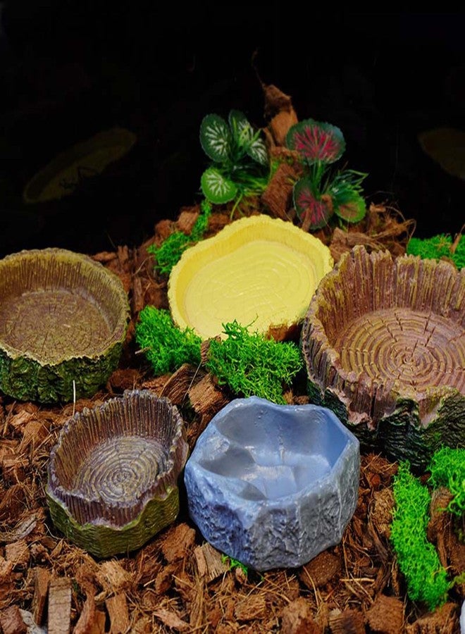 disclean 2 Pack Realistic Resin Reptile Food and Water Bowls Natural Simulation Tree Stump Feeding Dishes for Lizards Snakes Tortoises Geckos Decorative Terrarium Landscaping Accessories for Reptile Habitat - Image 5