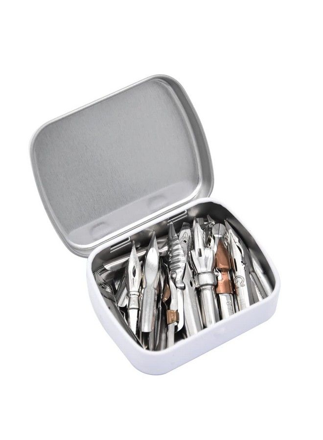 SIPLIV 30 Pcs Stainless Steel Comic Pen Nib Calligraphy Pen Nibs Dip Pens Nibs Set Manga Nibs Fountain Pen Nibs Replacements With Steel Storage Box (Violin) - Image 4