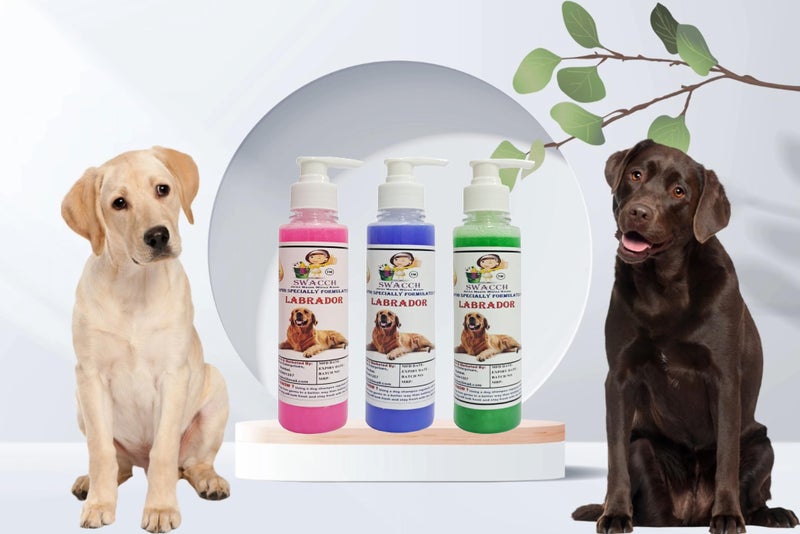 SWACCH Premium Shampoo for Labrador (200ML) (Combo Pack of 3) Rose, Lavender & NEEM ALOVERA - Image 2