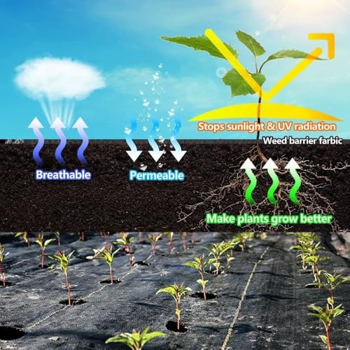 LAVEVE 4FT x 50FT Weed Barrier Landscape Fabric, 3.2oz Premium Heavy Duty Garden Cloth, Ground Cover for Gardening, Farming - Image 3