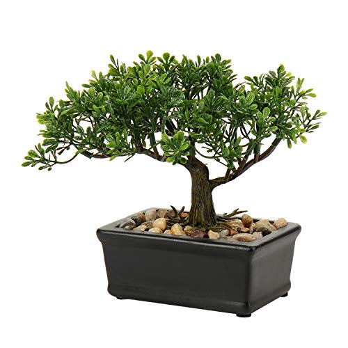 Briful Artificial Bonsai Tree Juniper Faux Plants Indoor Small Fake Plants Decor with Ceramic Pots for Home Table Office Desk Bathroom Shelf Bedroom Living Room Farmhouse Decorations - Image 1