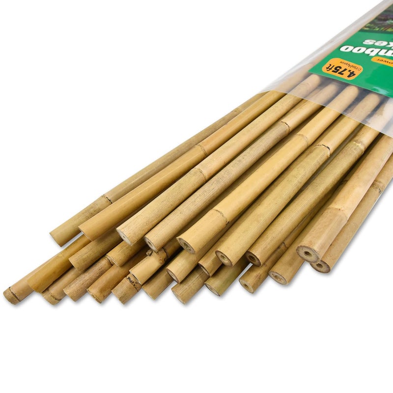 Jollybower 25pcs 1/2" D Thicker Heavy Duty Bamboo Stakes, 4.75FT Plant Stakes, Natural Garden Stakes for Tomato, Bean, Flowers,Trees Potted and Climbing Plant Support - Image 1