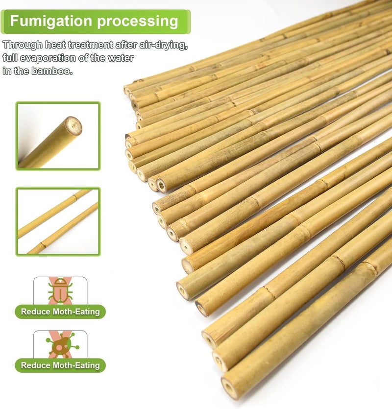 Jollybower 25pcs 1/2" D Thicker Heavy Duty Bamboo Stakes, 4.75FT Plant Stakes, Natural Garden Stakes for Tomato, Bean, Flowers,Trees Potted and Climbing Plant Support - Image 3