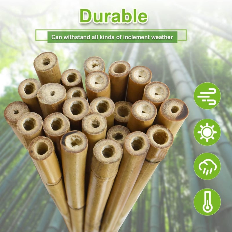 Jollybower 25pcs 1/2" D Thicker Heavy Duty Bamboo Stakes, 4.75FT Plant Stakes, Natural Garden Stakes for Tomato, Bean, Flowers,Trees Potted and Climbing Plant Support - Image 4