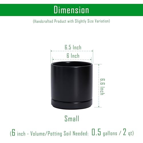 D'vine Dev Set of 2 Plants Pots, 6.5 Inch Ceramic Planter Pot for Plants with Drainage Hole and Saucer, Black, 94-V-C-2 - Image 3