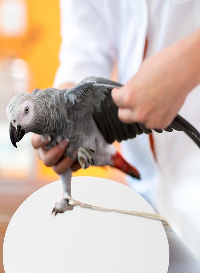 سوبفوكس 100 قطعة من بطانات أقفاص الطيور من SUPVOX، وسائد ماصة لأقفاص الببغاء، بطانات دائرية لصناديق فضلات الطيور، آمنة وسهلة التنظيف - Image 4