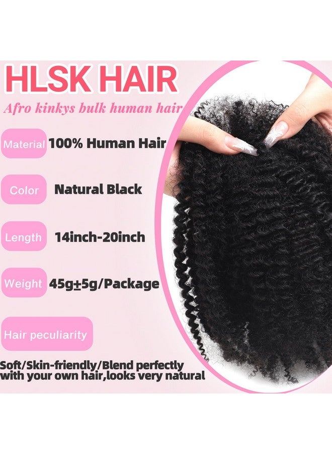 HLSK Afro Kinkys Bulk Human Hair 14 Inch 45G±5G/Pack For Dreadlock Extensions,Repair Locs, Twists And Braids Afro Kinky Curly Bulk 100% Human Hair Natural Black Color (Natural Black, 14 Inch) - Image 1