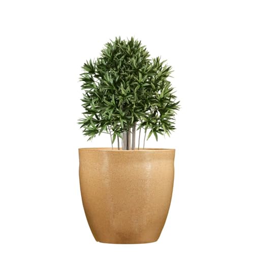 Go Hooked Pluto Brown Indoor Planter Pot 10 Inch | Lightweight Modern Round Plant Pot for Living Room, Balcony & Office | Decorative Polymer Pot for Live & Artificial Plants - Image 4
