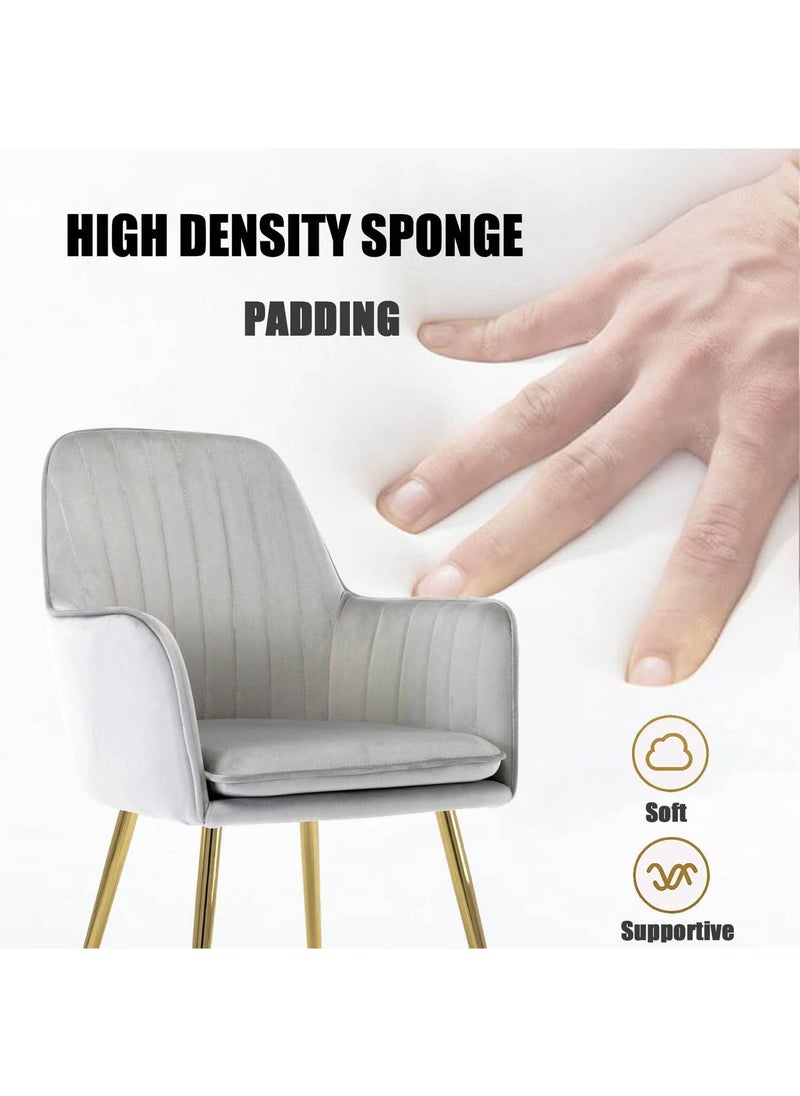 Taimi Modern Accent Dining Chair, Velvet Dining Chair, Home Office Chair, Desk Chair, Upholstered Living Room Chair, Living Room Bedroom Armchair with Golden Finished Metal Legs, Grey  - Image 3